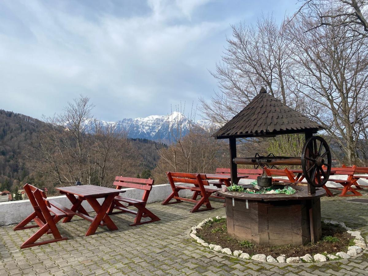Cabana Trei Brazi Предеал Екстериор снимка